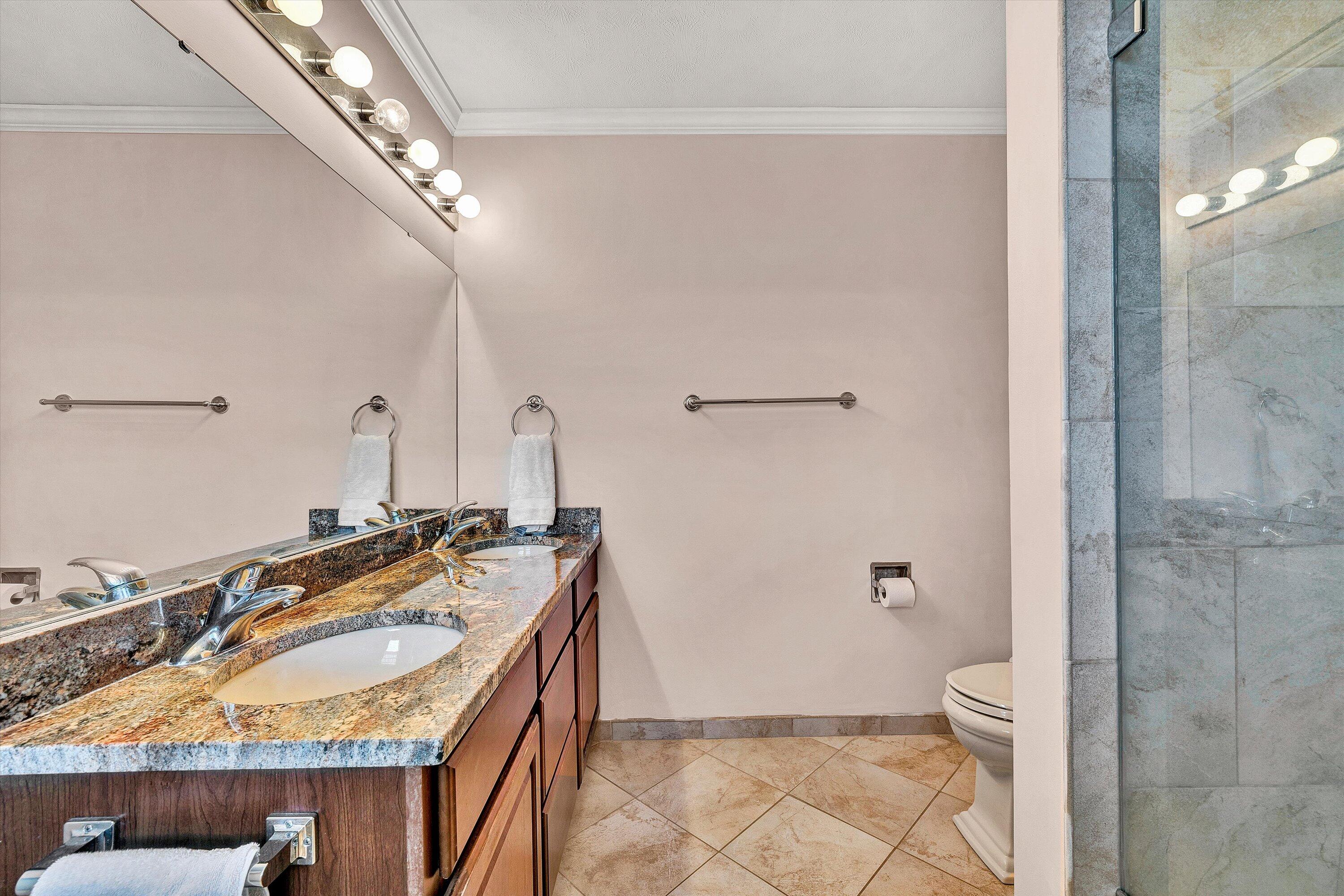 1670 Forge Road Lexington, VA 24450 - Photo 38 of 65 a bathroom with a granite countertop sink a toilet and shower