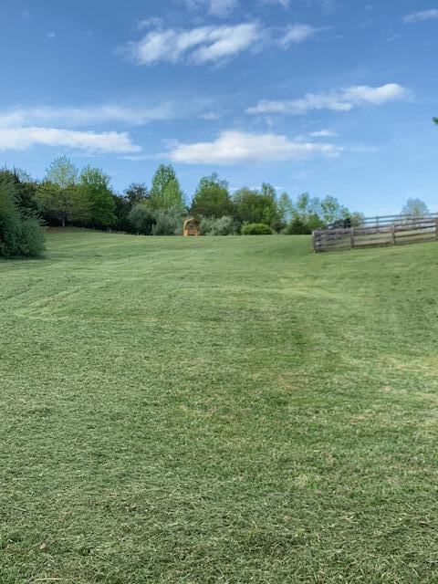 1670 Forge Road Lexington, VA 24450 - Photo 58 of 65 Backyard of home