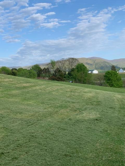 1670 Forge Road Lexington, VA 24450 - Photo 60 of 65 Mountain views