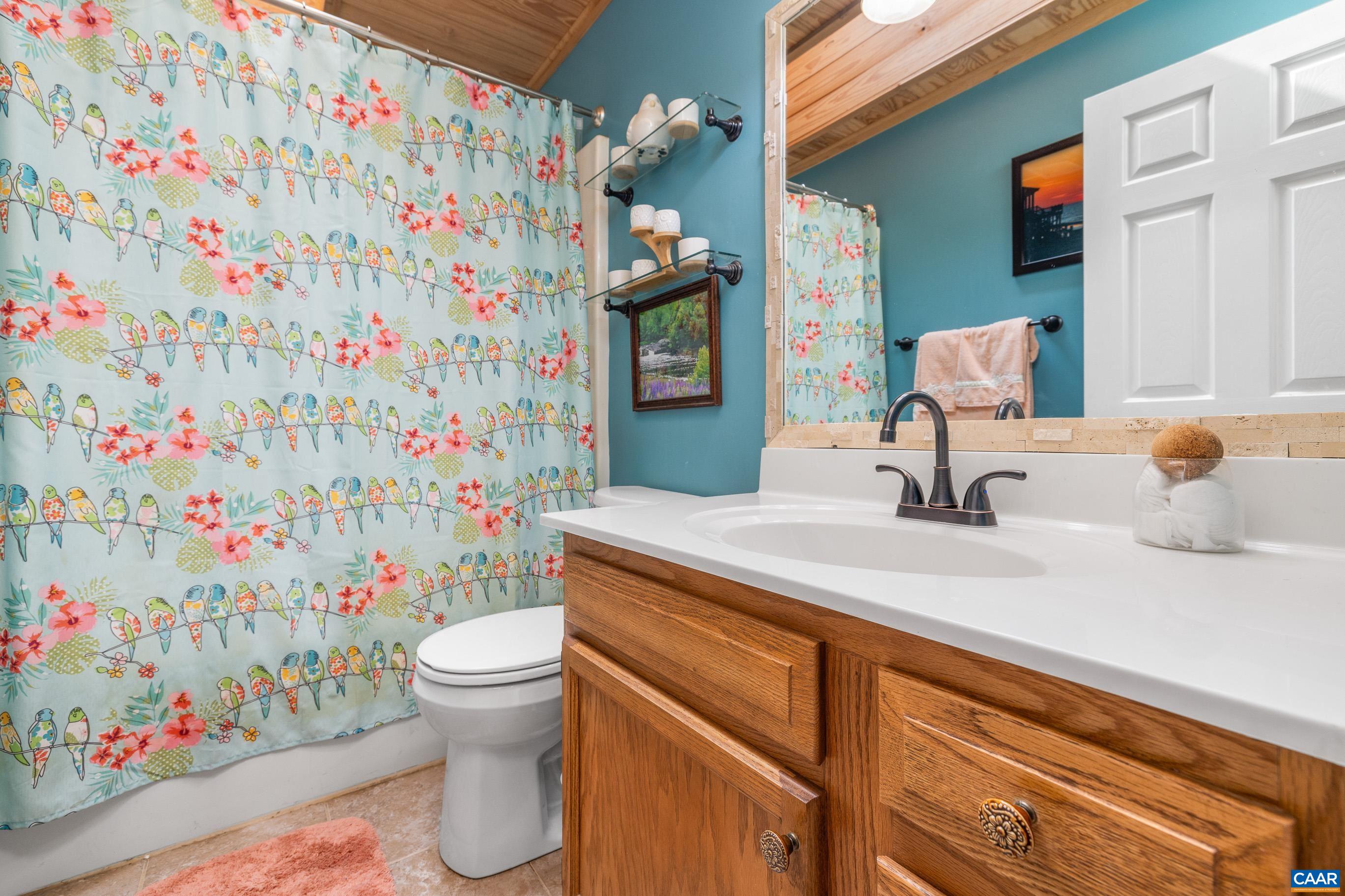 4 Xebec Road Palmyra, VA 22963 - Photo 27 of 41 Gallery Image 27