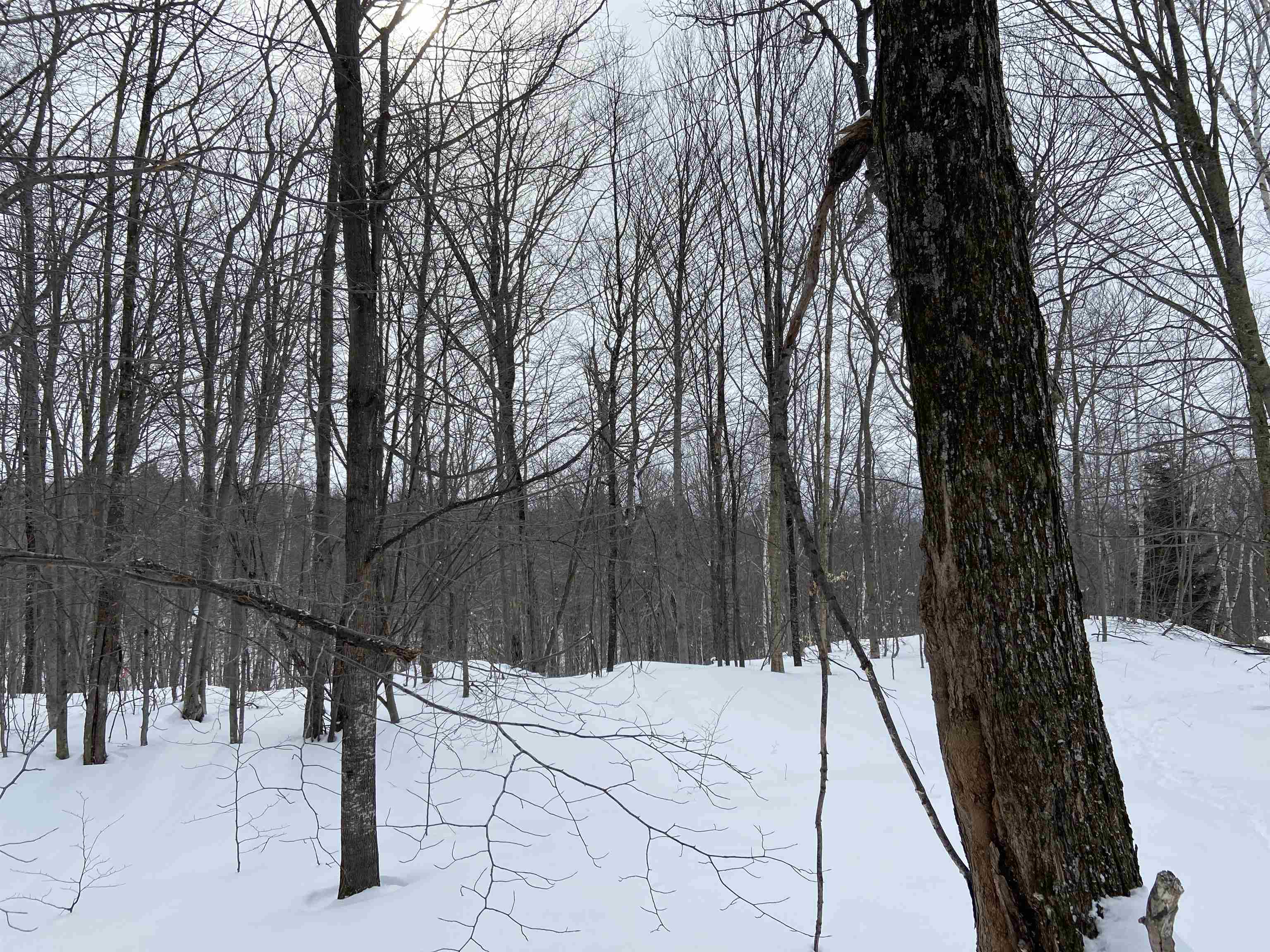 Tbd Robinson Springs Road, Unit 41 Stowe, VT 05672 - Photo 2 of 4 Gallery Image 2