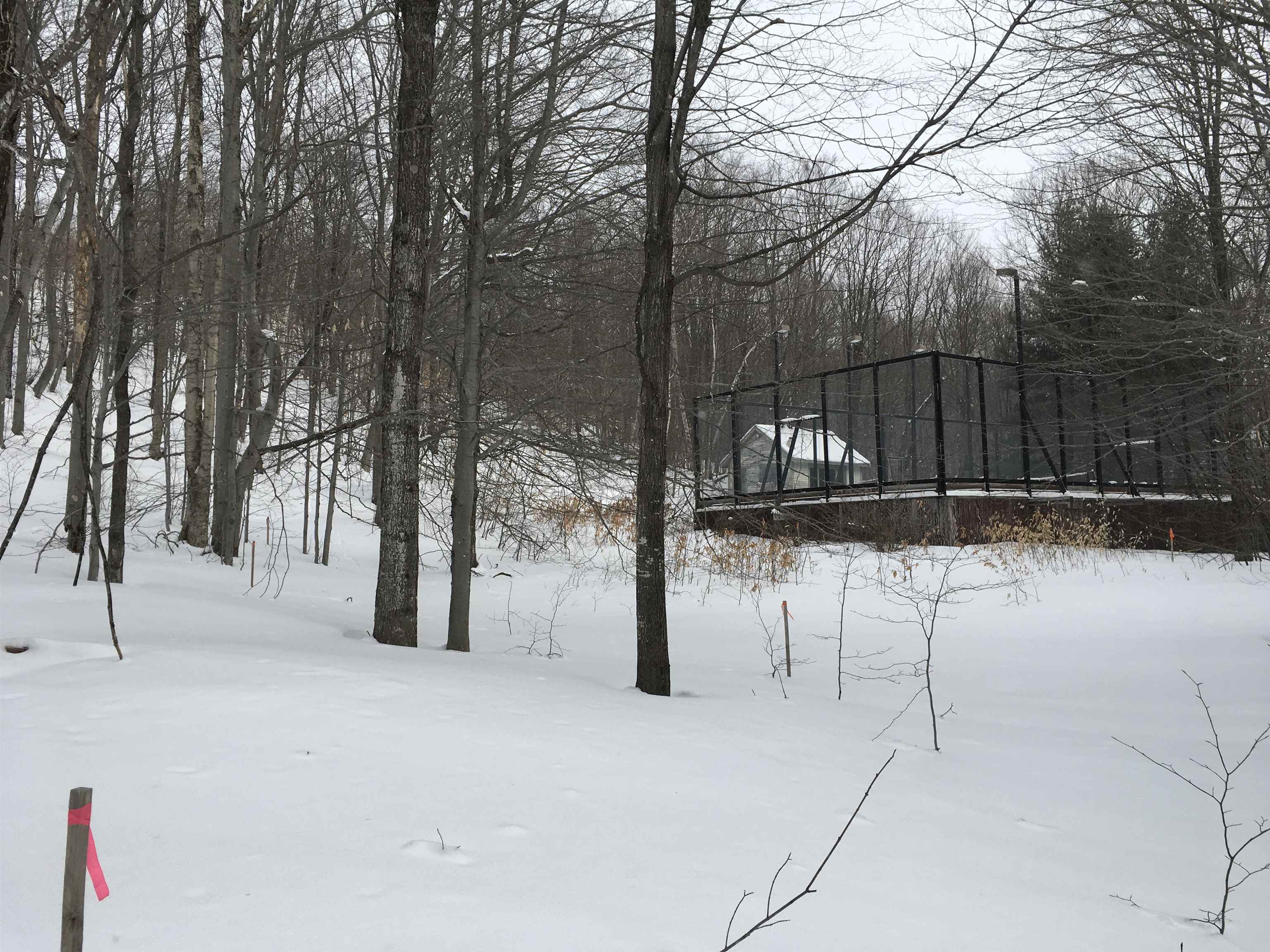 Tbd Robinson Springs Road, Unit 41 Stowe, VT 05672 - Photo 4 of 4 Gallery Image 4
