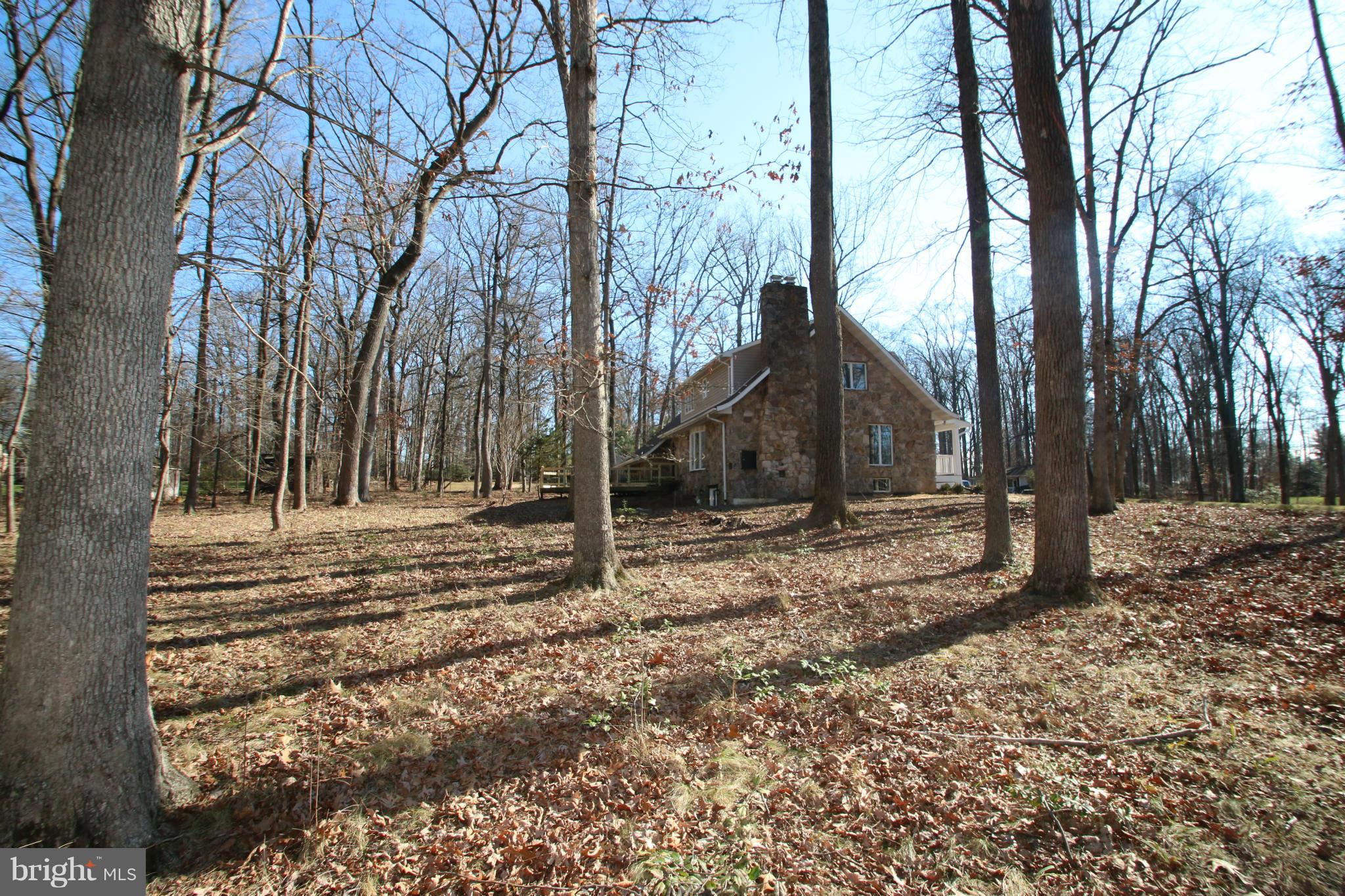 4321 Oaktree Road Rockville, MD 20853 - Photo 23 of 24 a view of a barn house in the middle of forest
