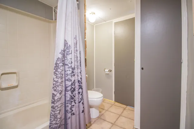 a bathroom with a shower and a toilet
