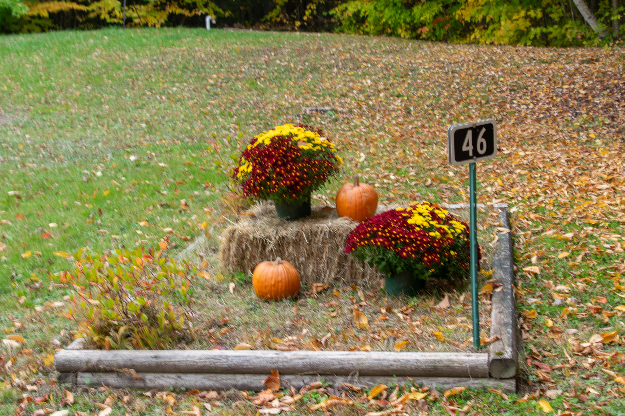 46 Coldstream Lane Lowell, ME 04493 - Photo 20 of 24 DSC_3885