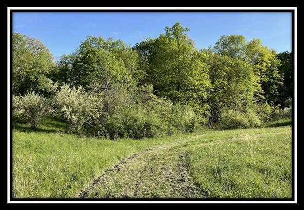 0 Shaver Road, Unit TRACT #4 Blue Rock, OH 43720 - Photo 27 of 60 image027