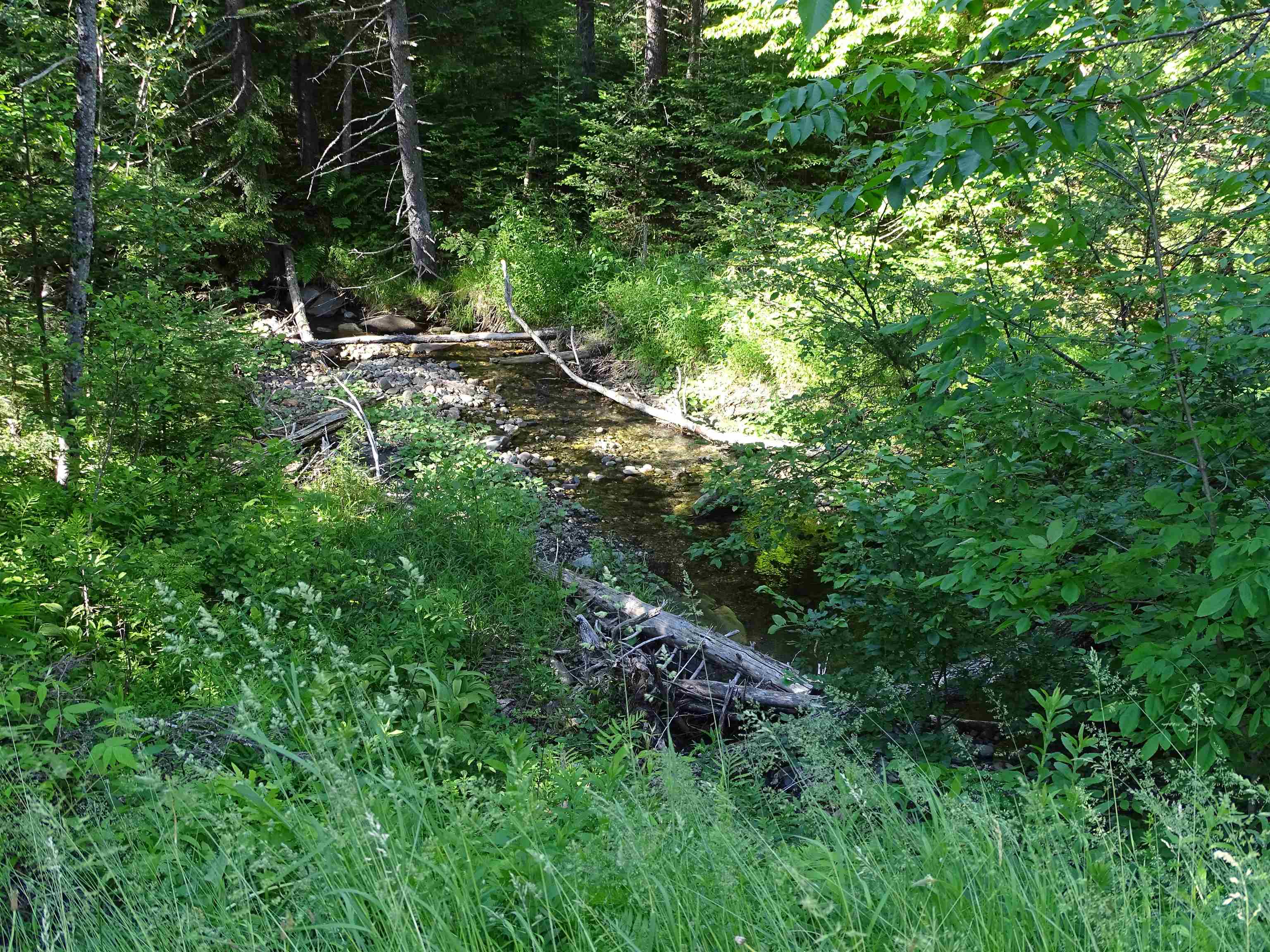 393 Parish School Road Glover, VT 05839 - Photo 8 of 31