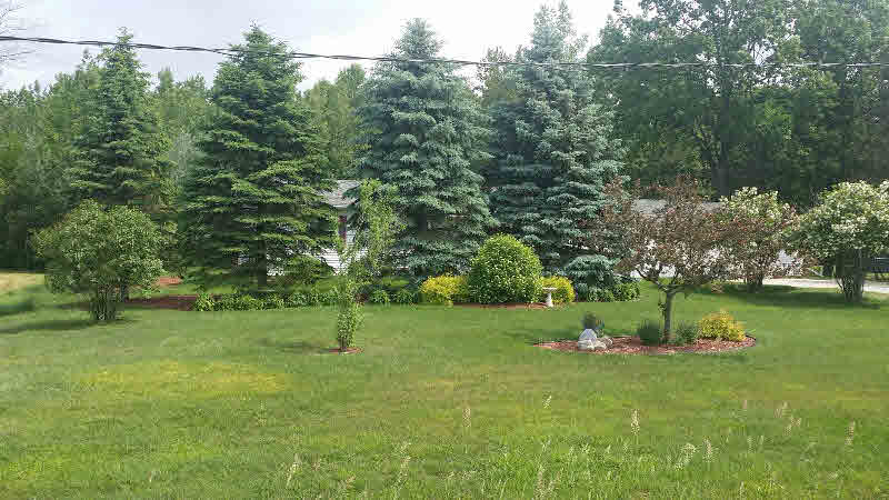 416 West Whitefeather Road Pinconning, MI 48650 - Photo 10 of 13