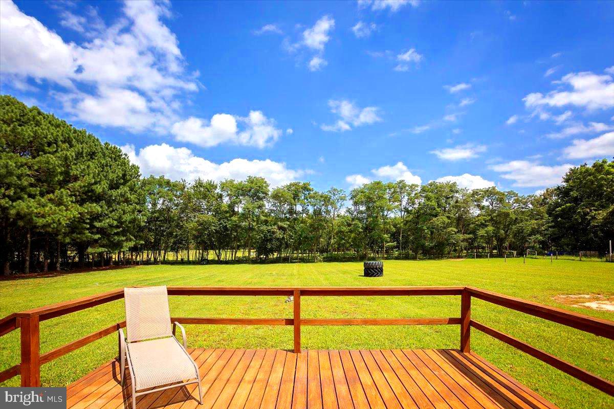 4604 Payne Road Hurlock, MD 21643 - Photo 28 of 32 BACKYARD