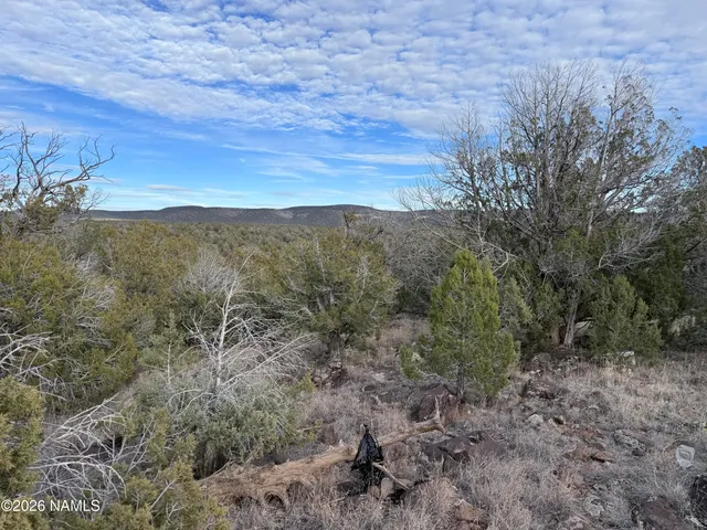 $60,000 | 20615004 Terry Lane, Williams, AZ 86046