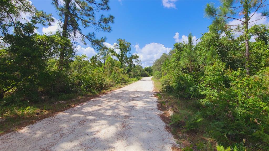 2575 North Bear Run Frostproof, FL 33843 - Photo 3 of 27 a view of a yard with plants and large trees