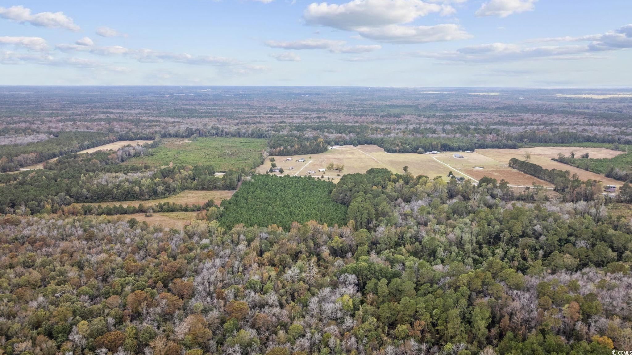 3-9 Creek Landing Road Nichols, SC 29581 - Photo 6 of 18