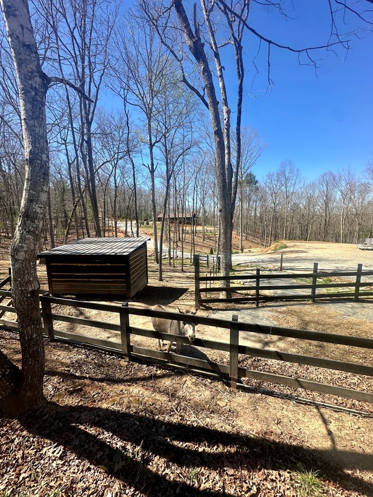 554 Tipton Springs Road Morganton, GA 30560 - Photo 67 of 74