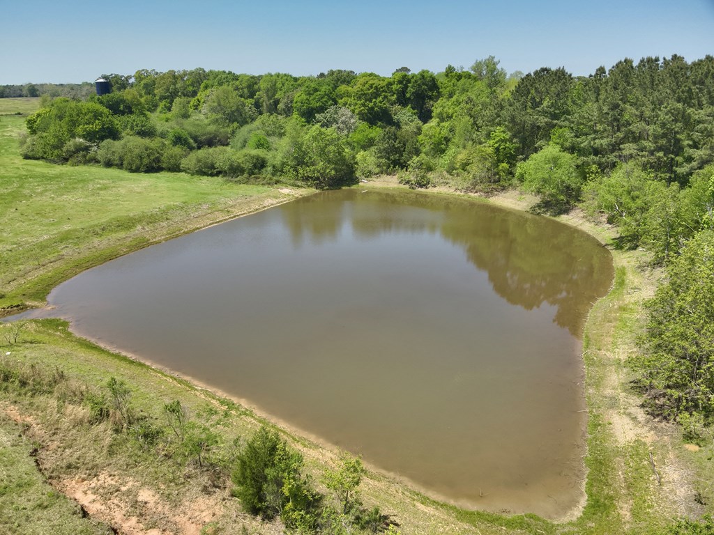 12.37-acres Huskey Road Dothan, AL 36303 - Photo 13 of 16