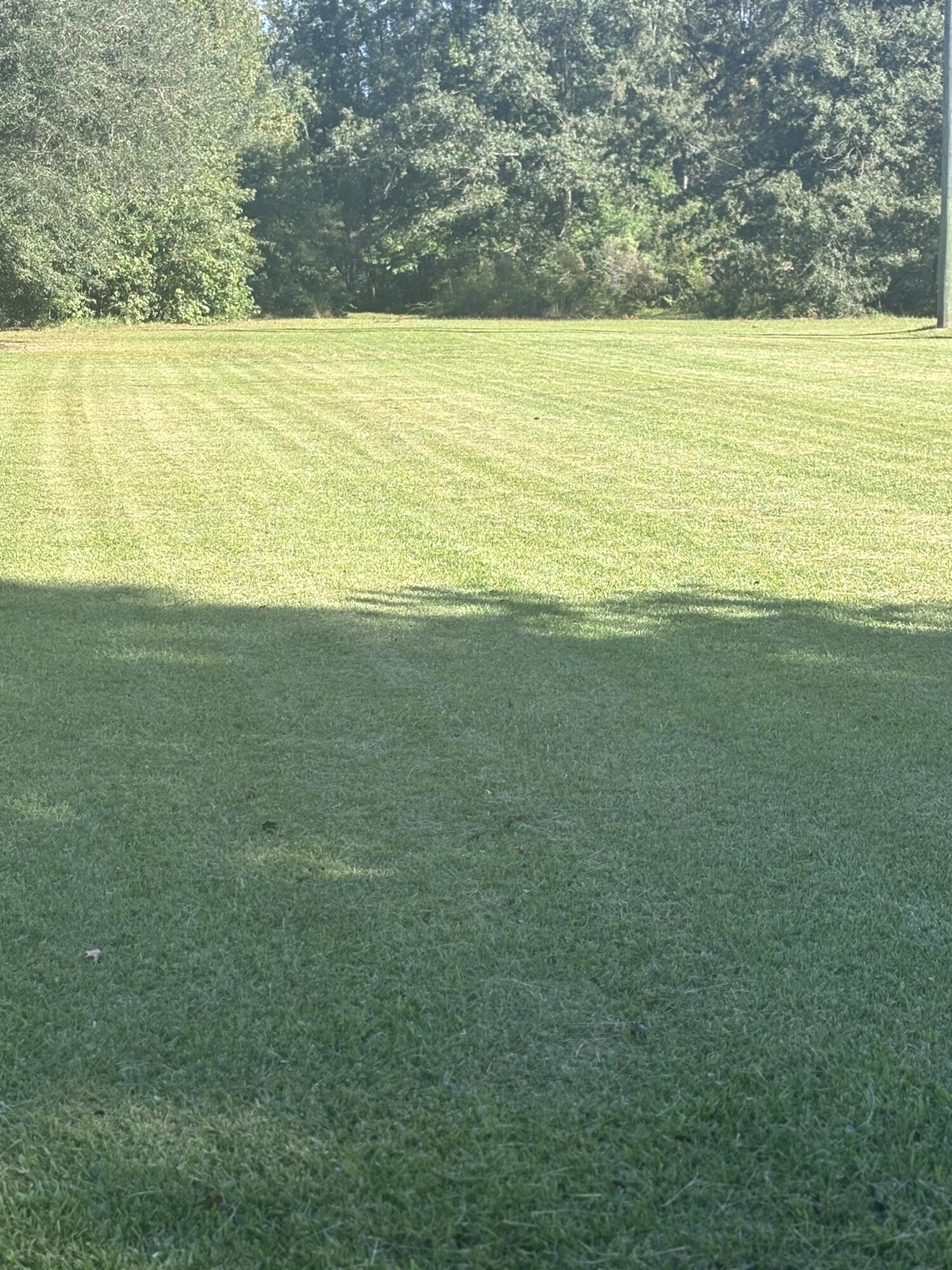 18 Kelly Road Seabrook, SC 29940 - Photo 3 of 3 IMG_6107