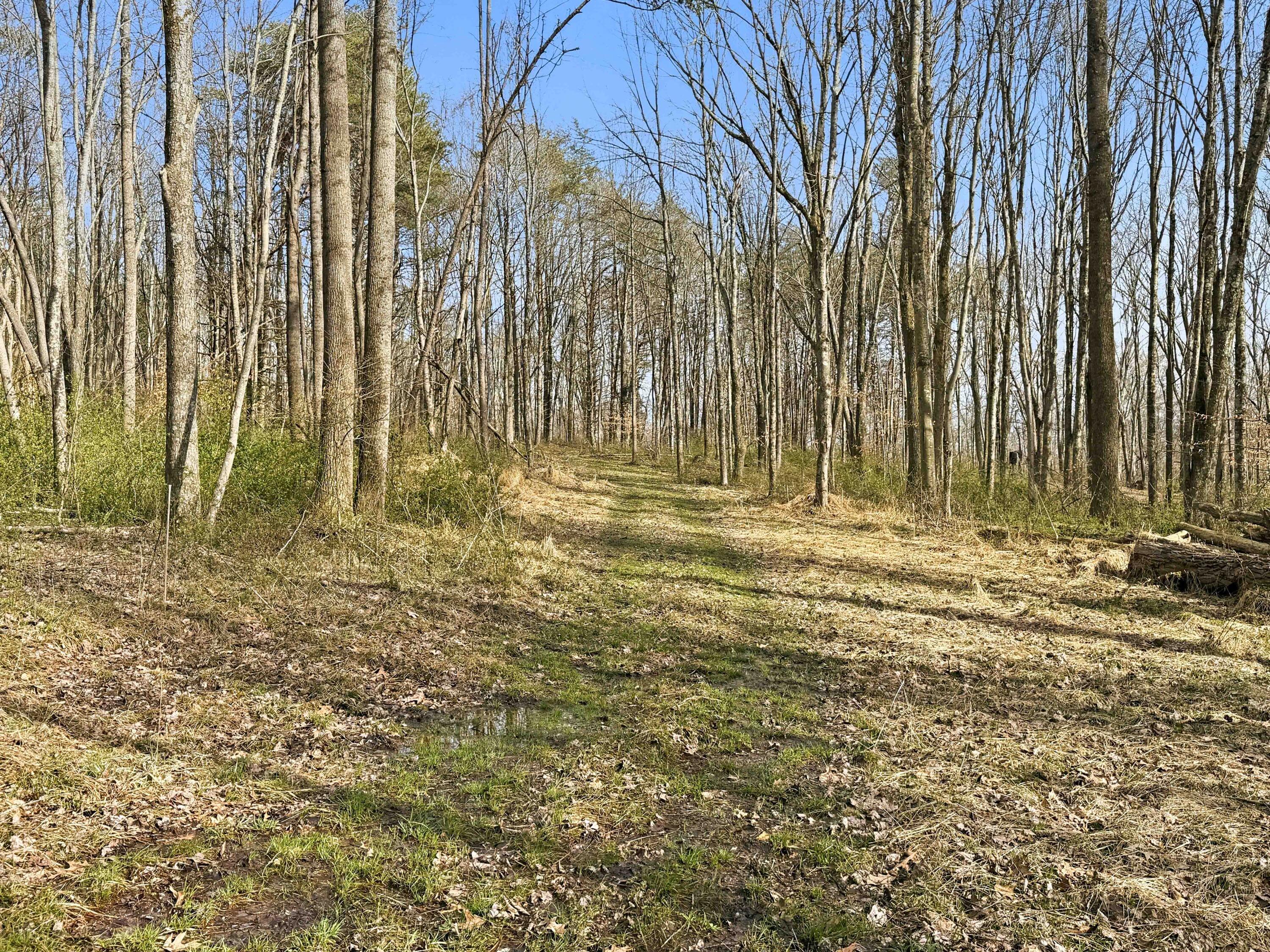 22470 Griffith Road Logan, OH 43138 - Photo 7 of 29 Griffith Rd-7