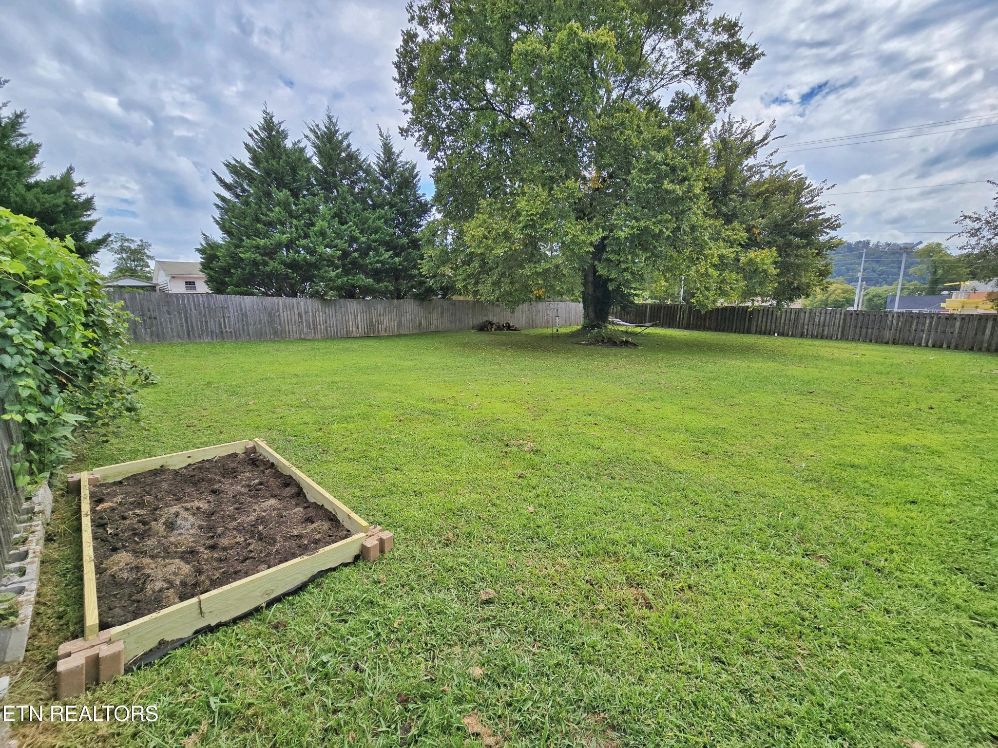 181 Sunset Road Clinton, TN 37716 - Photo 36 of 42 a view of a backyard with large trees