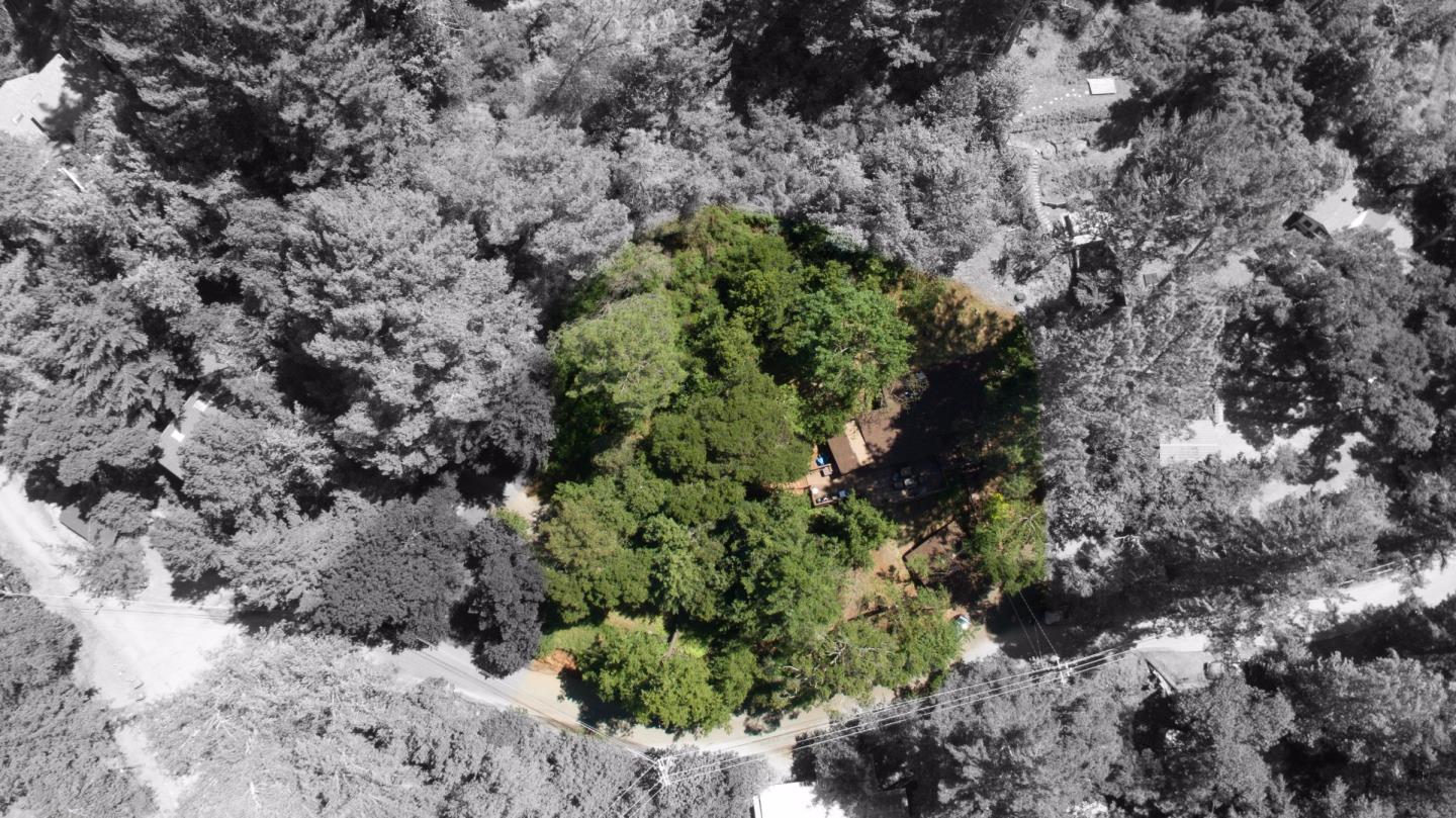 21477 Old Mine Road Los Gatos, CA 95033 - Photo 5 of 27 a plant with lots of plants and trees