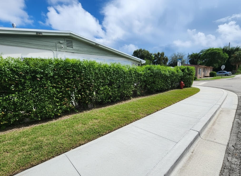 664 West 2nd Street Riviera Beach, FL 33404 - Photo 10 of 10 a backyard of a house with lots of green space and fog