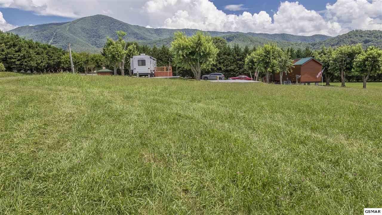 2 Line Springs Road Sevierville, TN 37862 - Photo 3 of 8