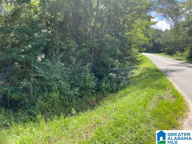 0 County Road 89, Unit 1 Clanton, AL 35046 - Photo 3 of 17