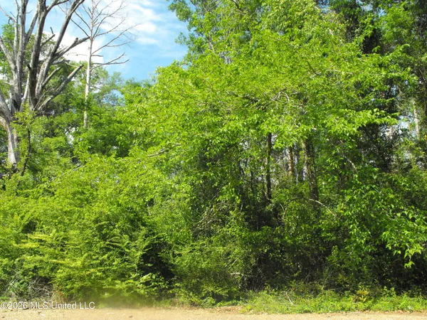 $101,000 | Terry Road, Jackson, MS 39212