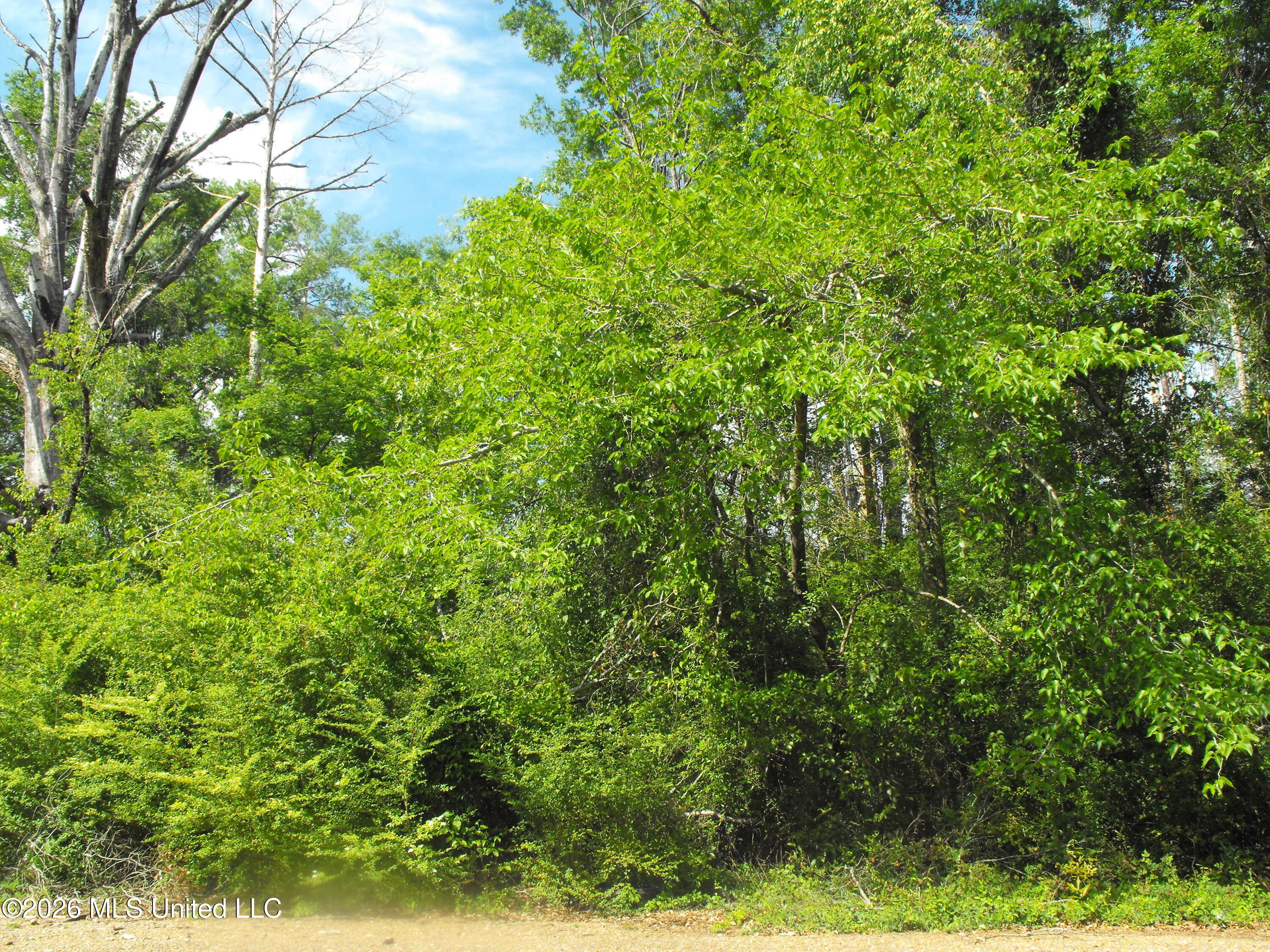 Terry Road Jackson, MS 39212 - Photo 6 of 8 DSCF8004