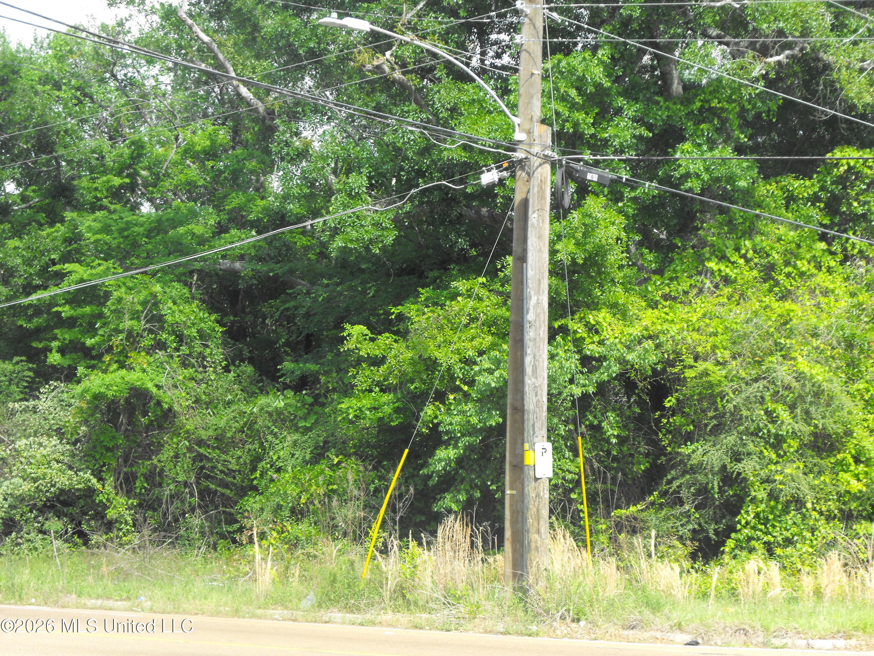 Terry Road Jackson, MS 39212 - Photo 7 of 8 DSCF8005