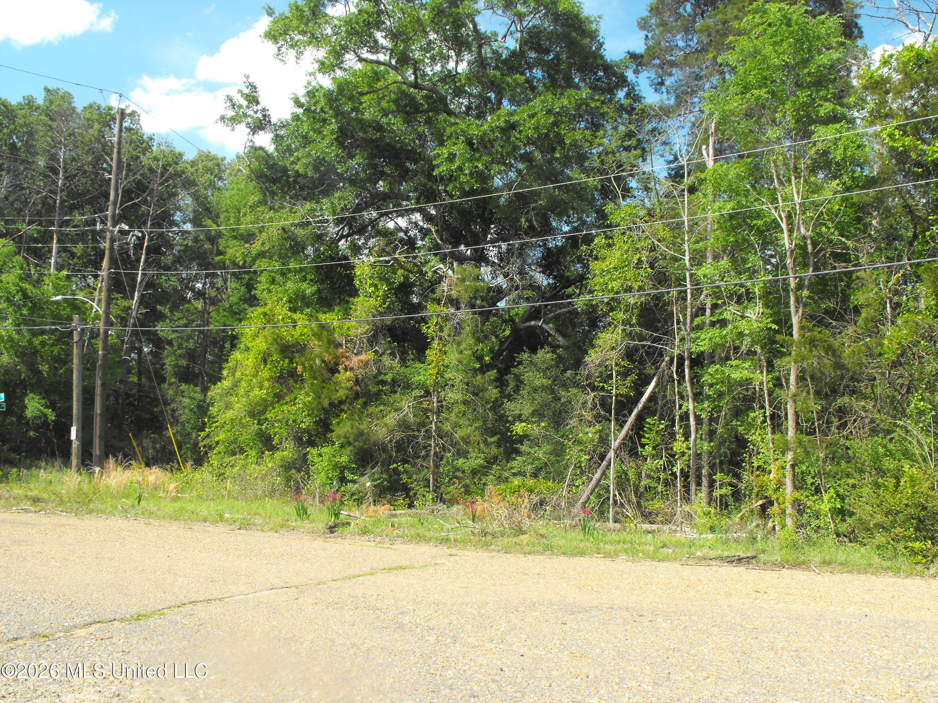 Terry Road Jackson, MS 39212 - Photo 8 of 8 DSCF8003