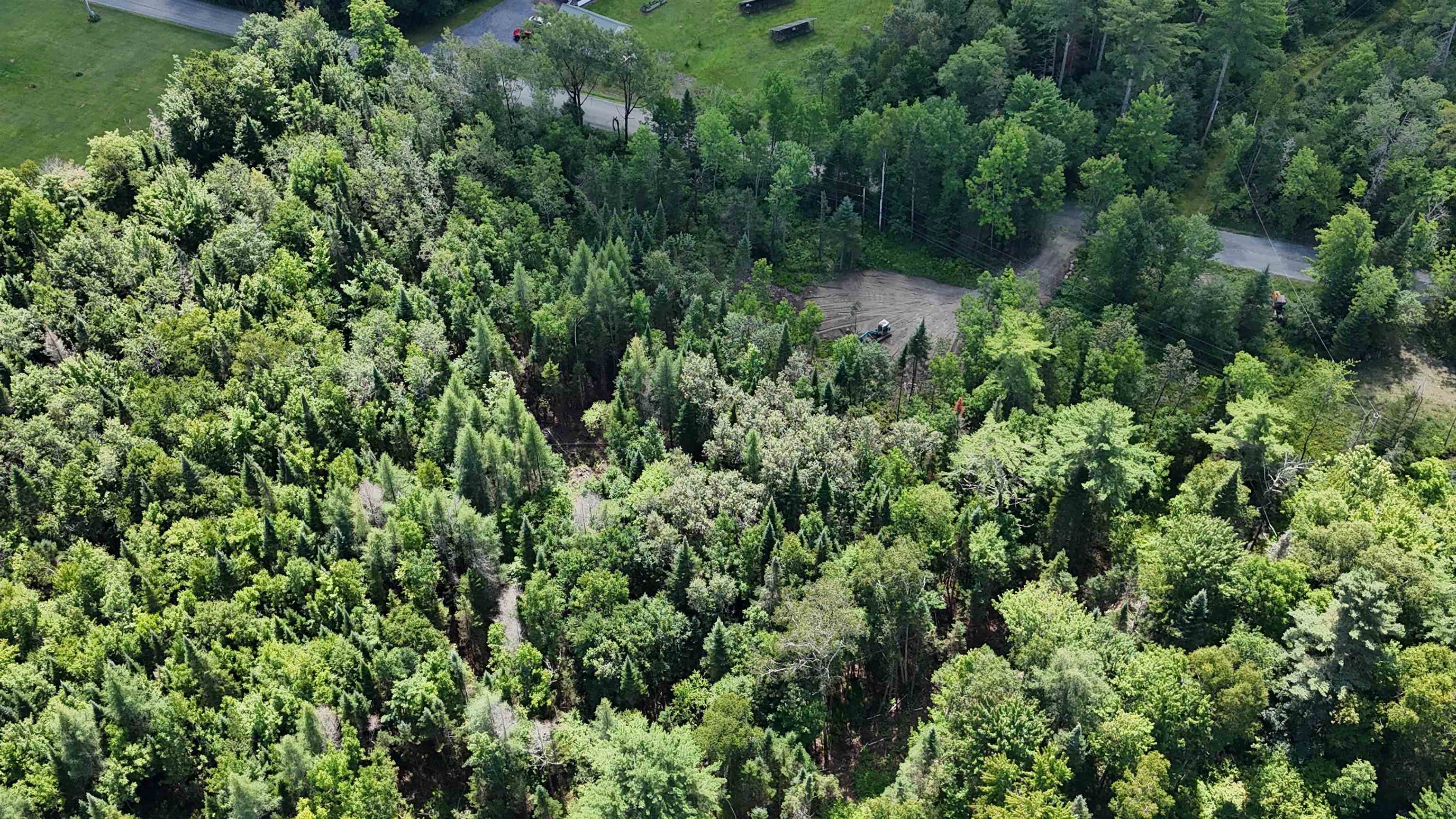 Lot 58 Old Pond Hill Road Lunenburg, VT 05906 - Photo 24 of 25 Gallery Image 24