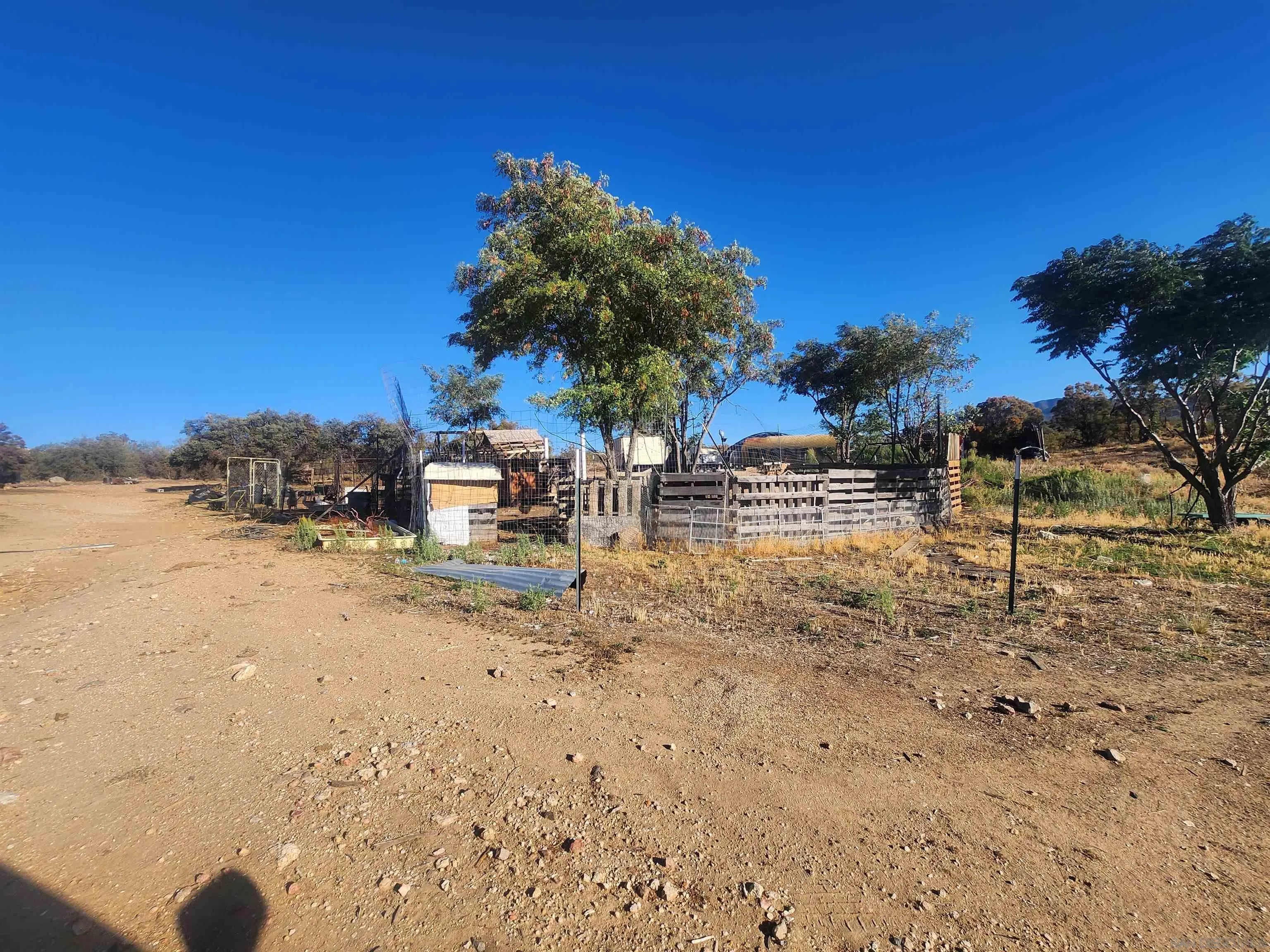 45251 Tule Fire Road Anza, CA 92539 - Photo 5 of 9 a view of a backyard of the house