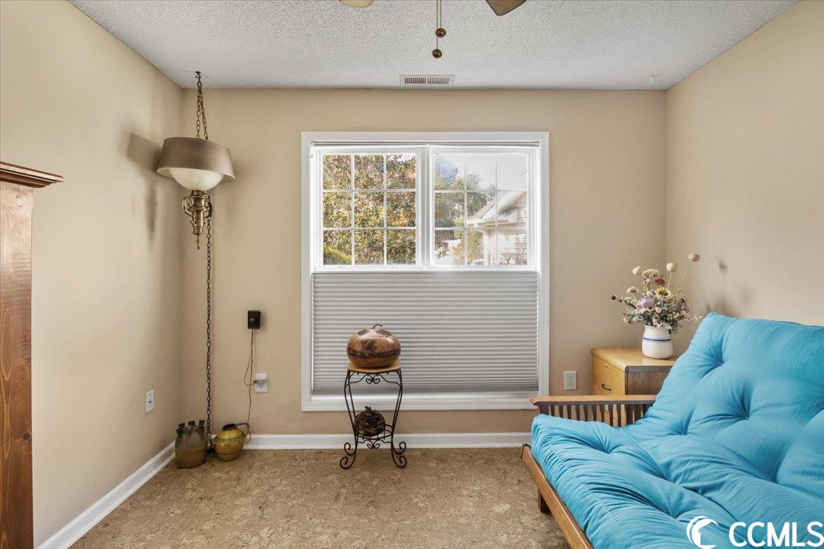327 Chastain Court Murrells Inlet, SC 29576 - Photo 21 of 38