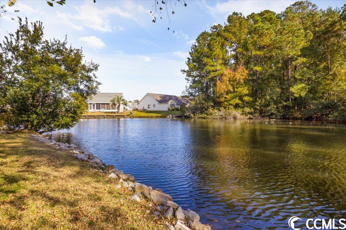 327 Chastain Court Murrells Inlet, SC 29576 - Photo 31 of 38