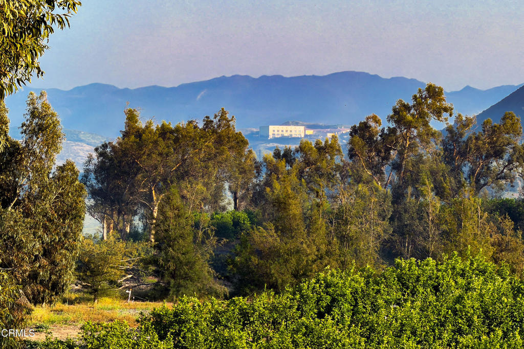 15295 Middle Ranch Road Moorpark, CA 93021 - Photo 9 of 18 15295 Middle Ranch Rd Moorpark-29