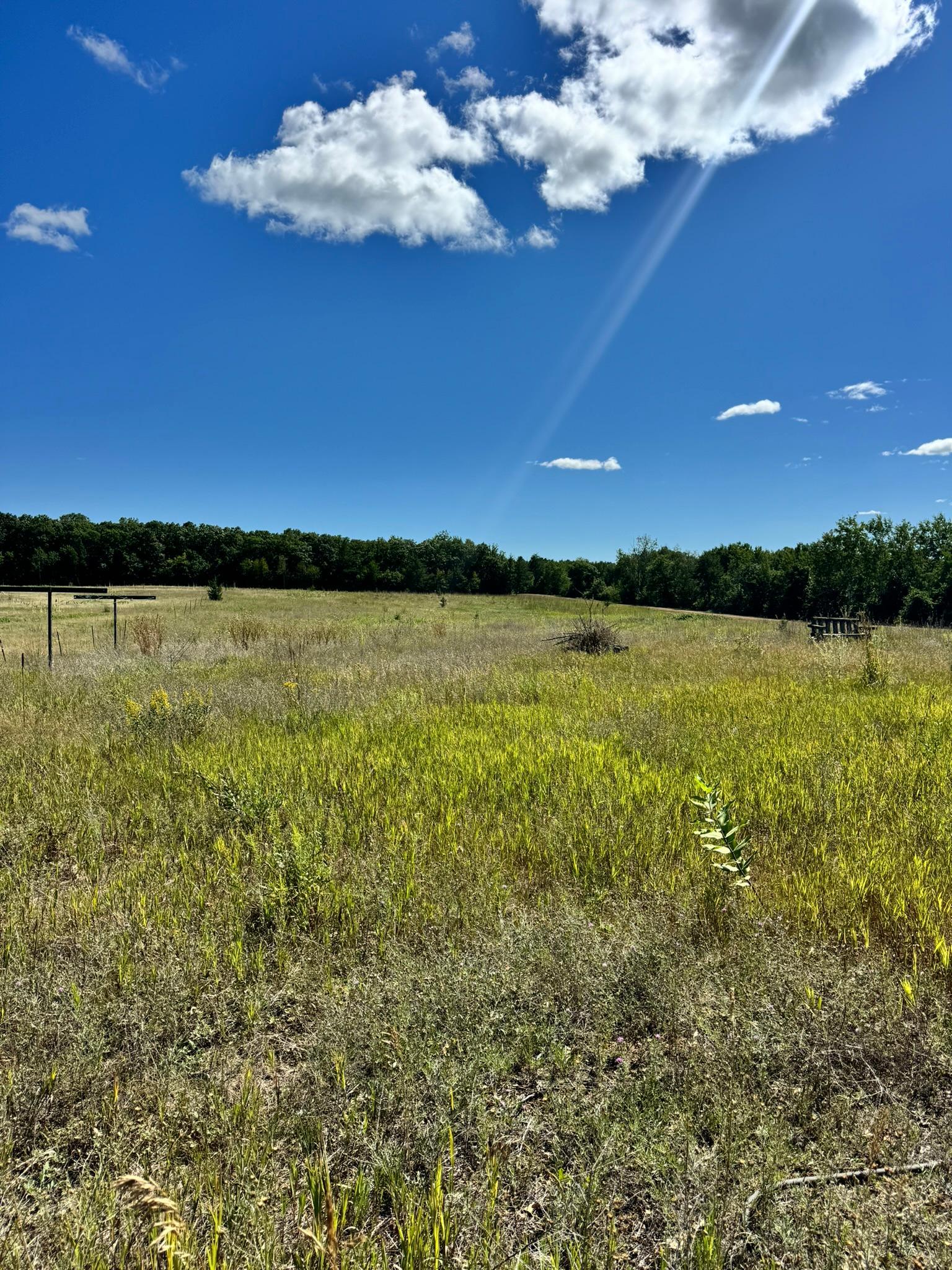 22315 Daisy Road Nevis, MN 56467 - Photo 3 of 7 Gallery Image 3