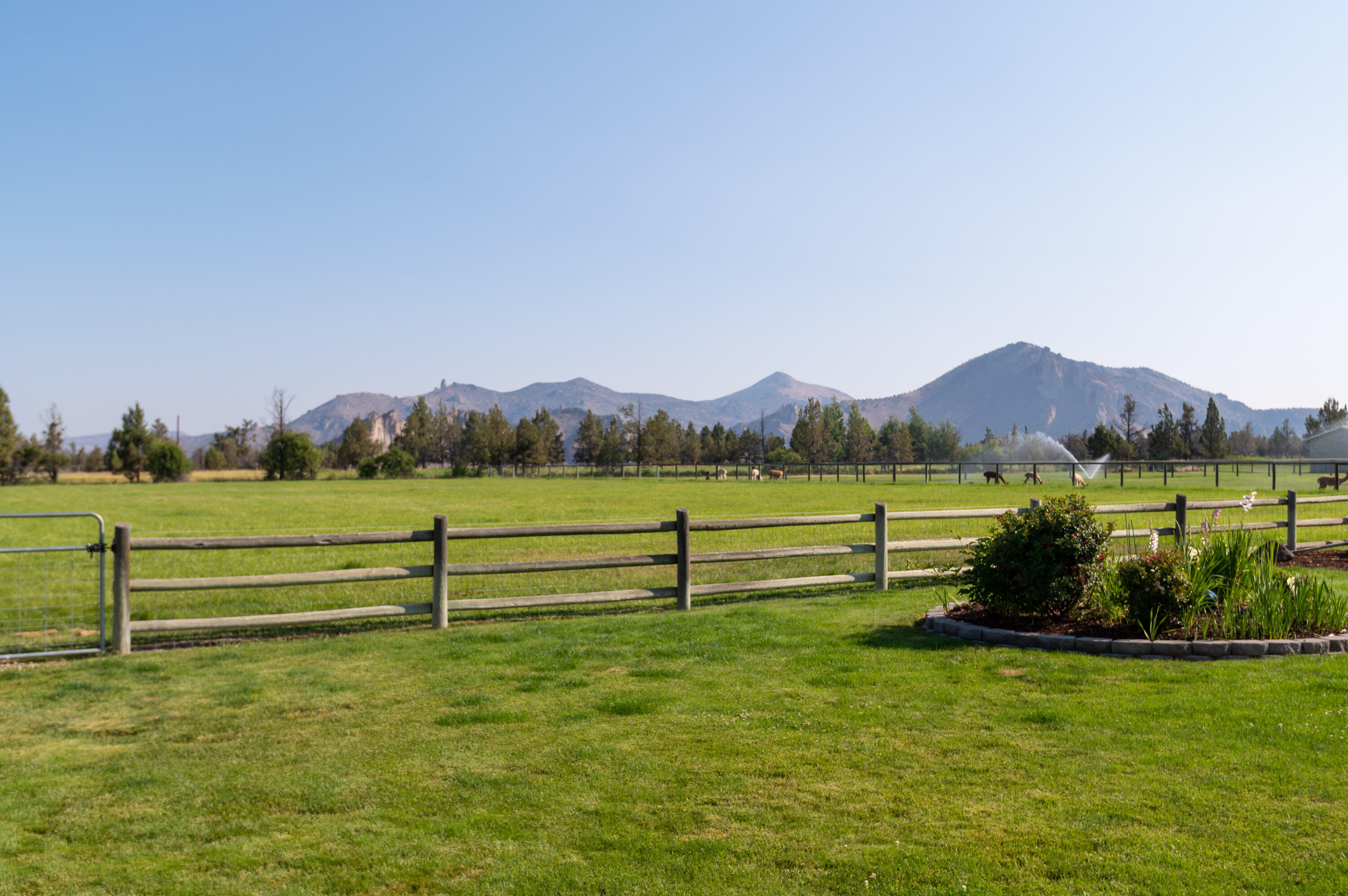 7357 Northeast Juniper Ridge Road Redmond, OR 97756 - Photo 28 of 45 TPark_5413_072921