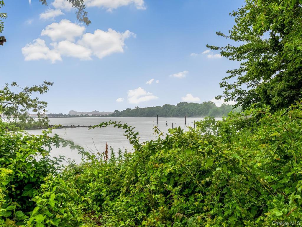 901 Harding Park Bronx, NY 10473 - Photo 4 of 24
