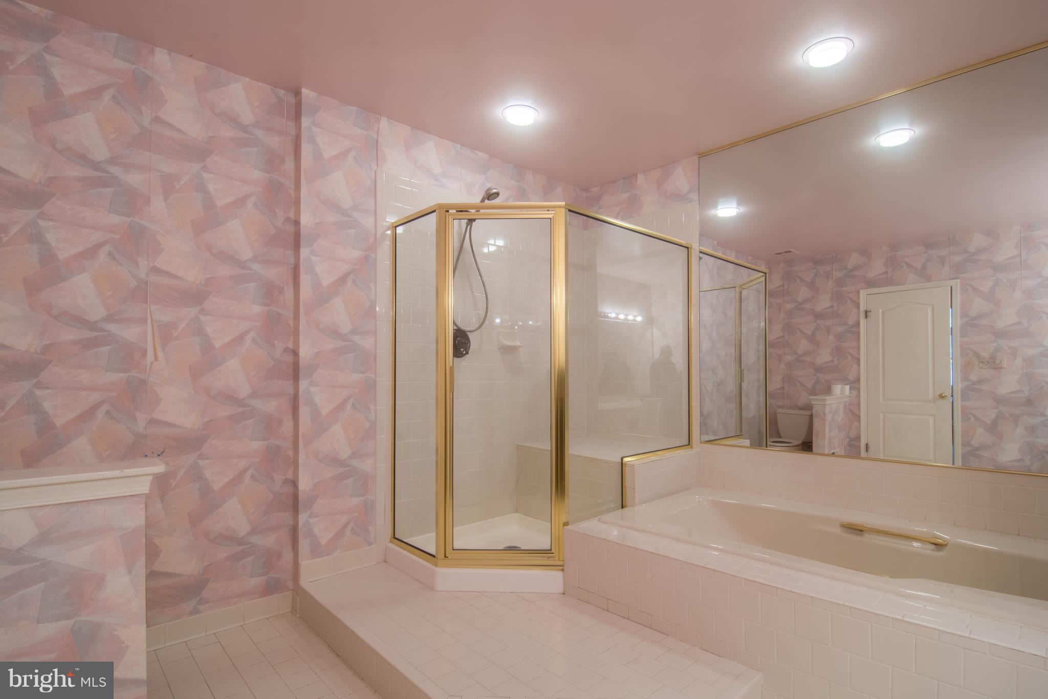 6911 Diana Road Baltimore, MD 21209 - Photo 17 of 30 Master Bath with Tub & Shower