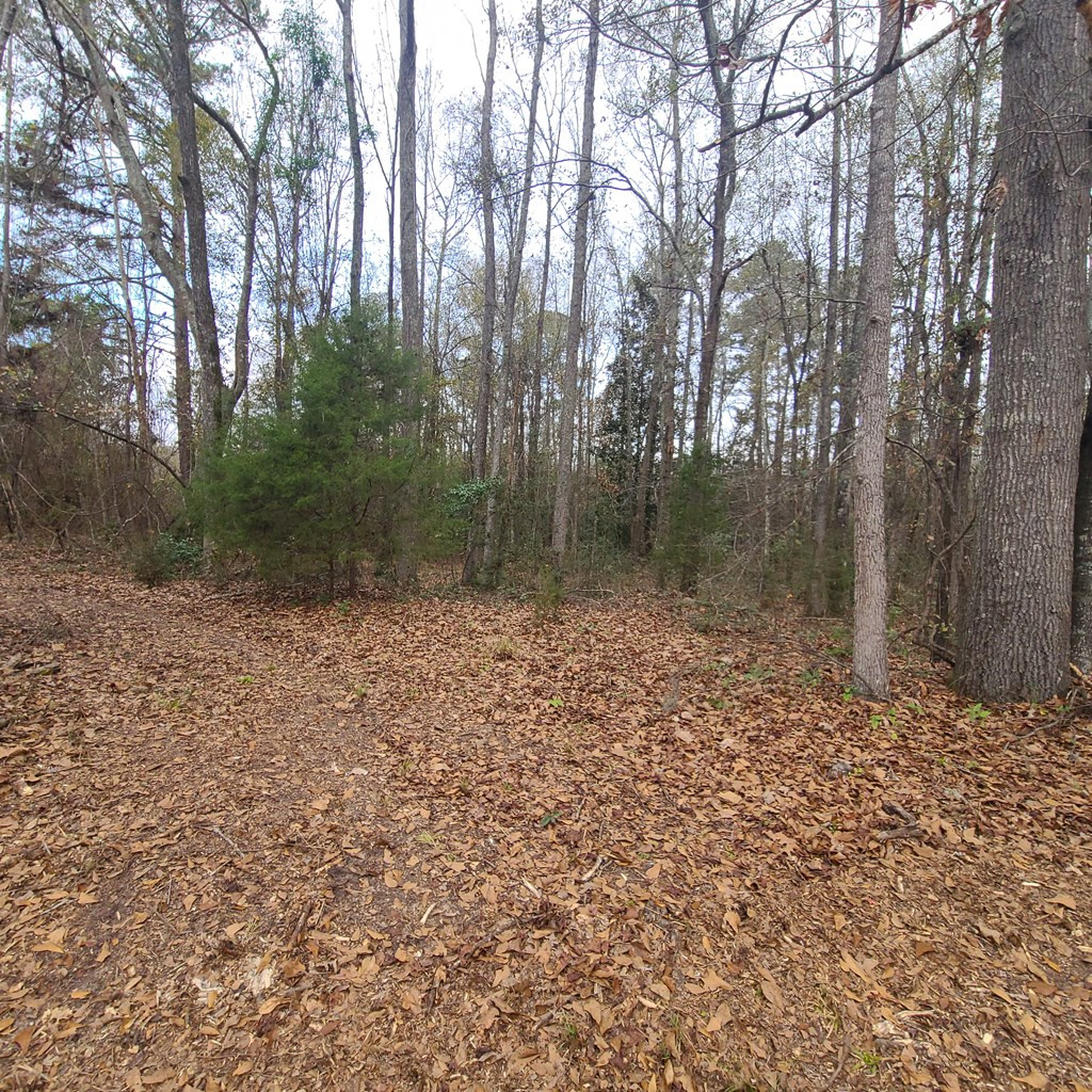 600 Main Street Jackson, SC 29831 - Photo 17 of 28