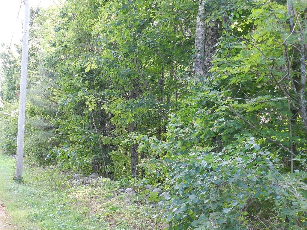 0 Christian Ridge Road South Paris, ME 04281 - Photo 2 of 16 partial view of lot