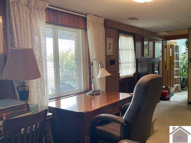 133 Blue River Road Cadiz, KY 42211 - Photo 29 of 42 Photo 29
