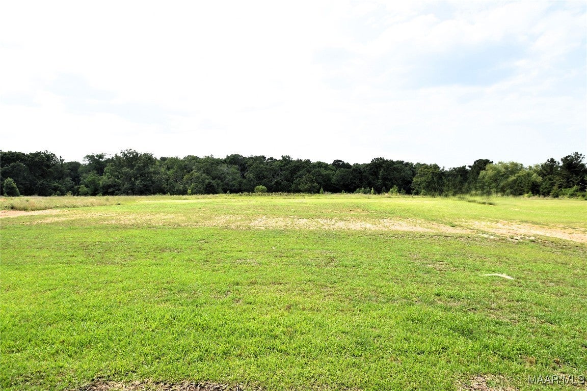 5120 Judge Logue Road Newton, AL 36352 - Photo 45 of 49 Gallery Image 45