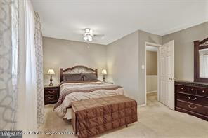 261 Bolton Road East Windsor, NJ 08520 - Photo 14 of 25 master 3