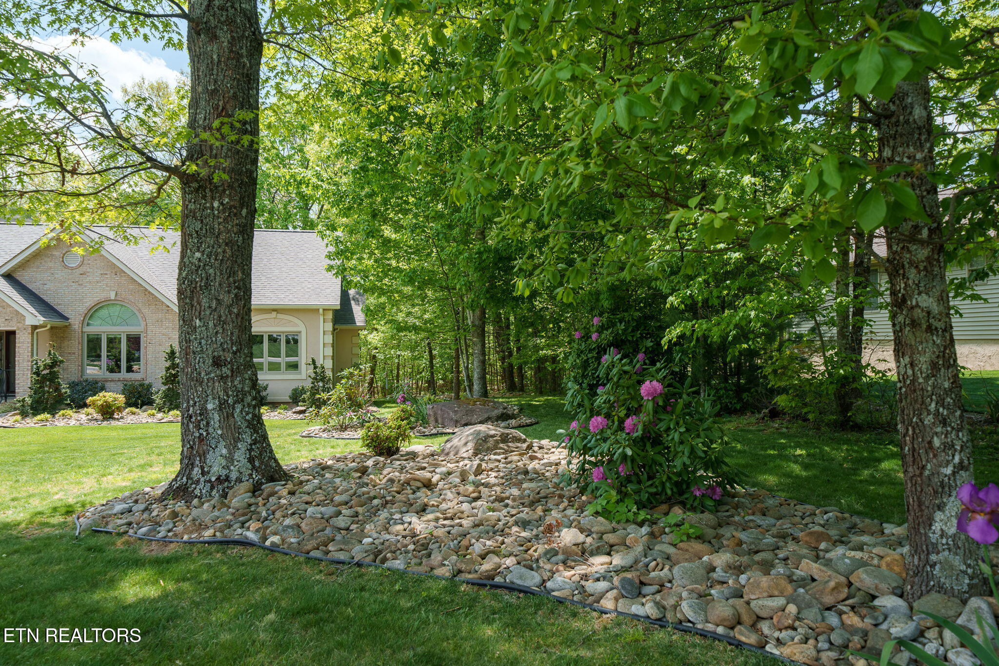 104 Hickory Ridge Lane Crossville, TN 38558 - Photo 6 of 53 Front yard
