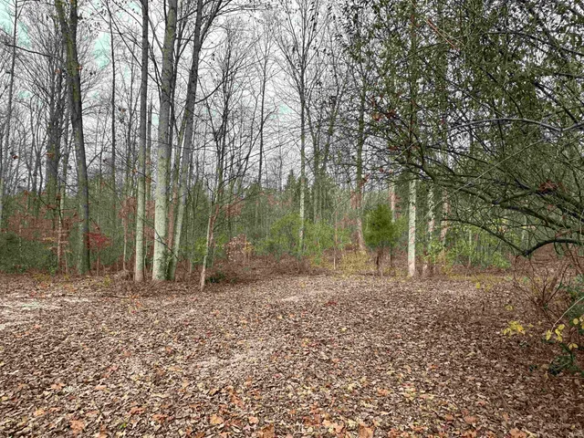 $50,000 | 2905 Dillard Road, Birdseye, IN 47513