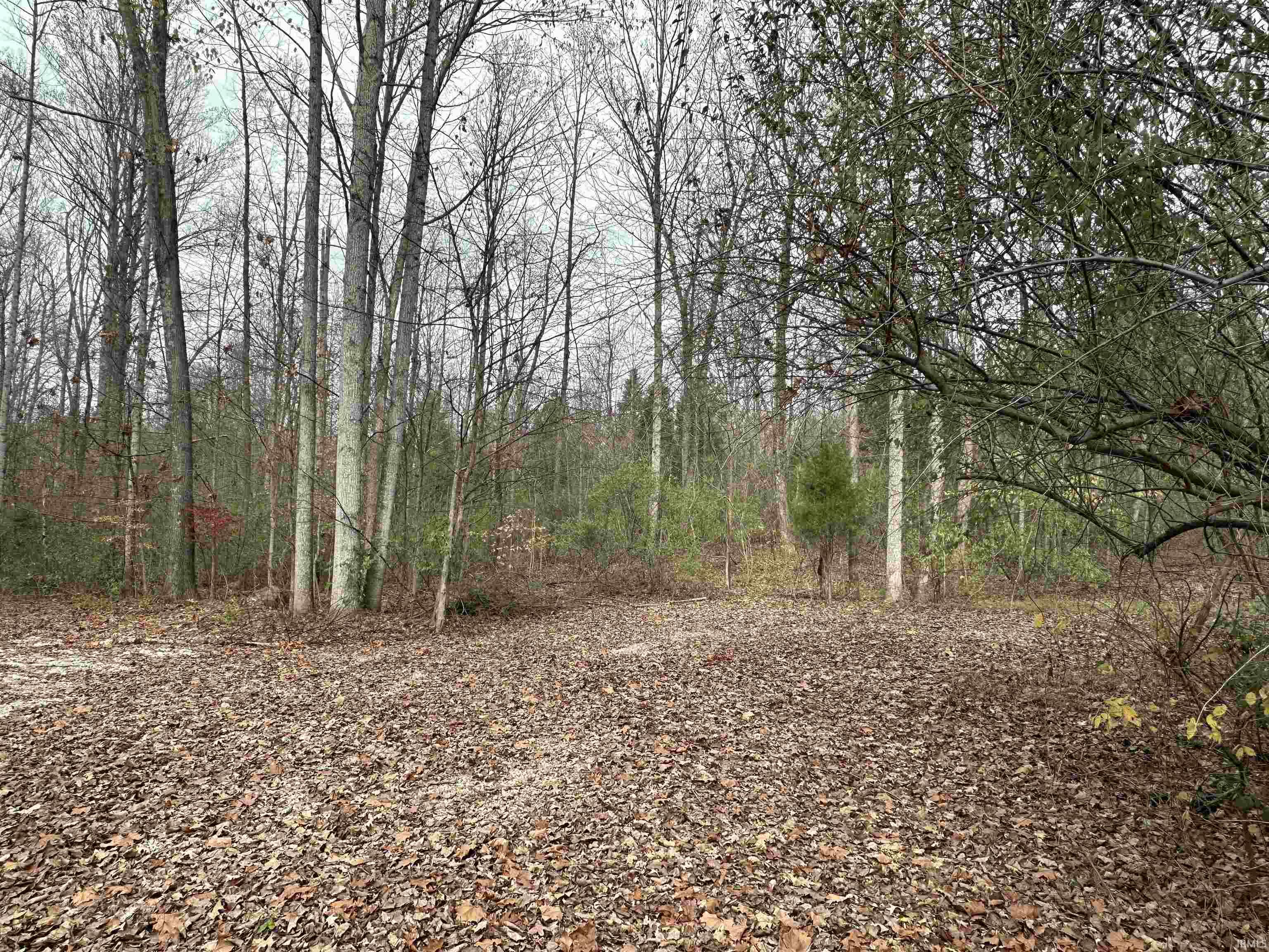 2905 Dillard Road Birdseye, IN 47513 - Photo 23 of 26