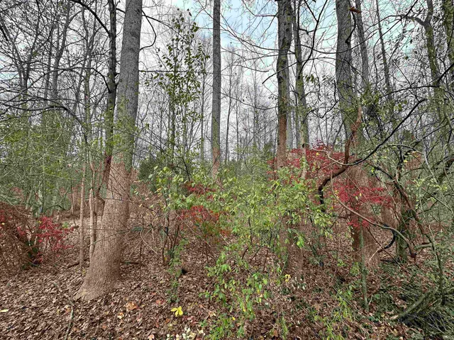 $50,000 | 2905 Dillard Road, Birdseye, IN 47513