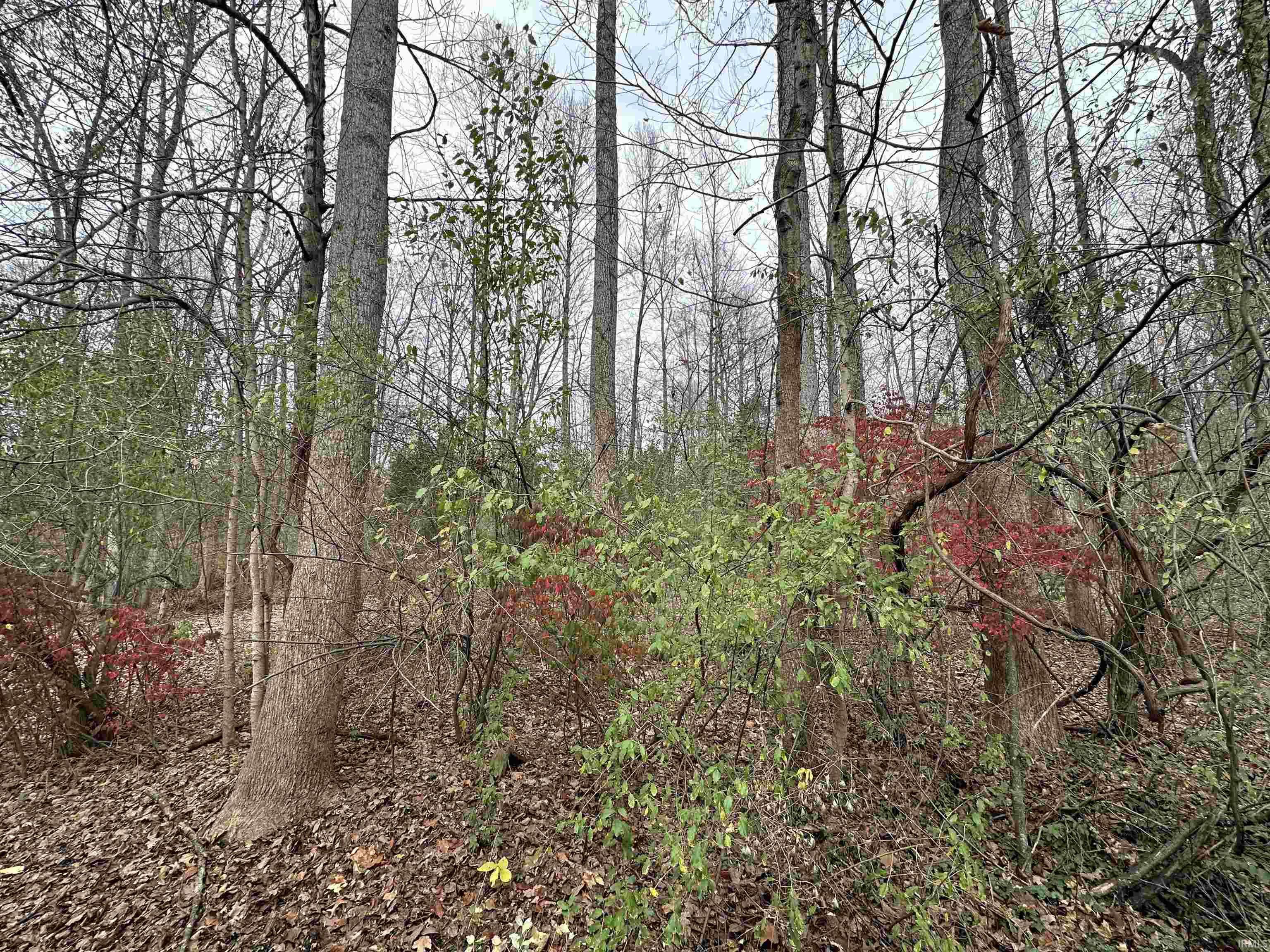 2905 Dillard Road Birdseye, IN 47513 - Photo 24 of 26