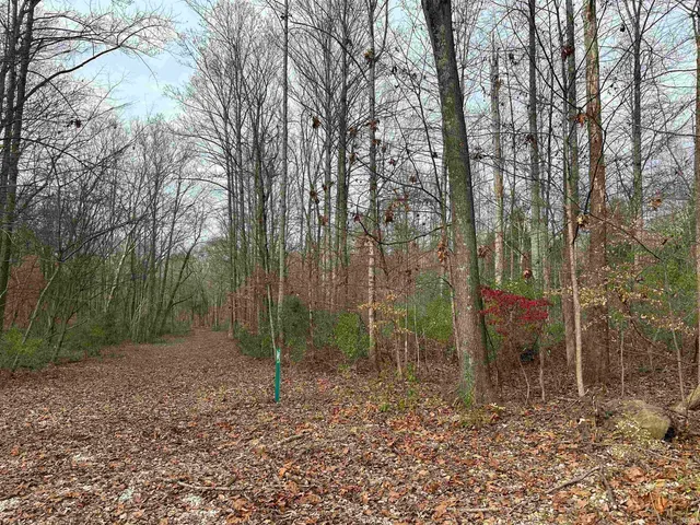 $50,000 | 2905 Dillard Road, Birdseye, IN 47513