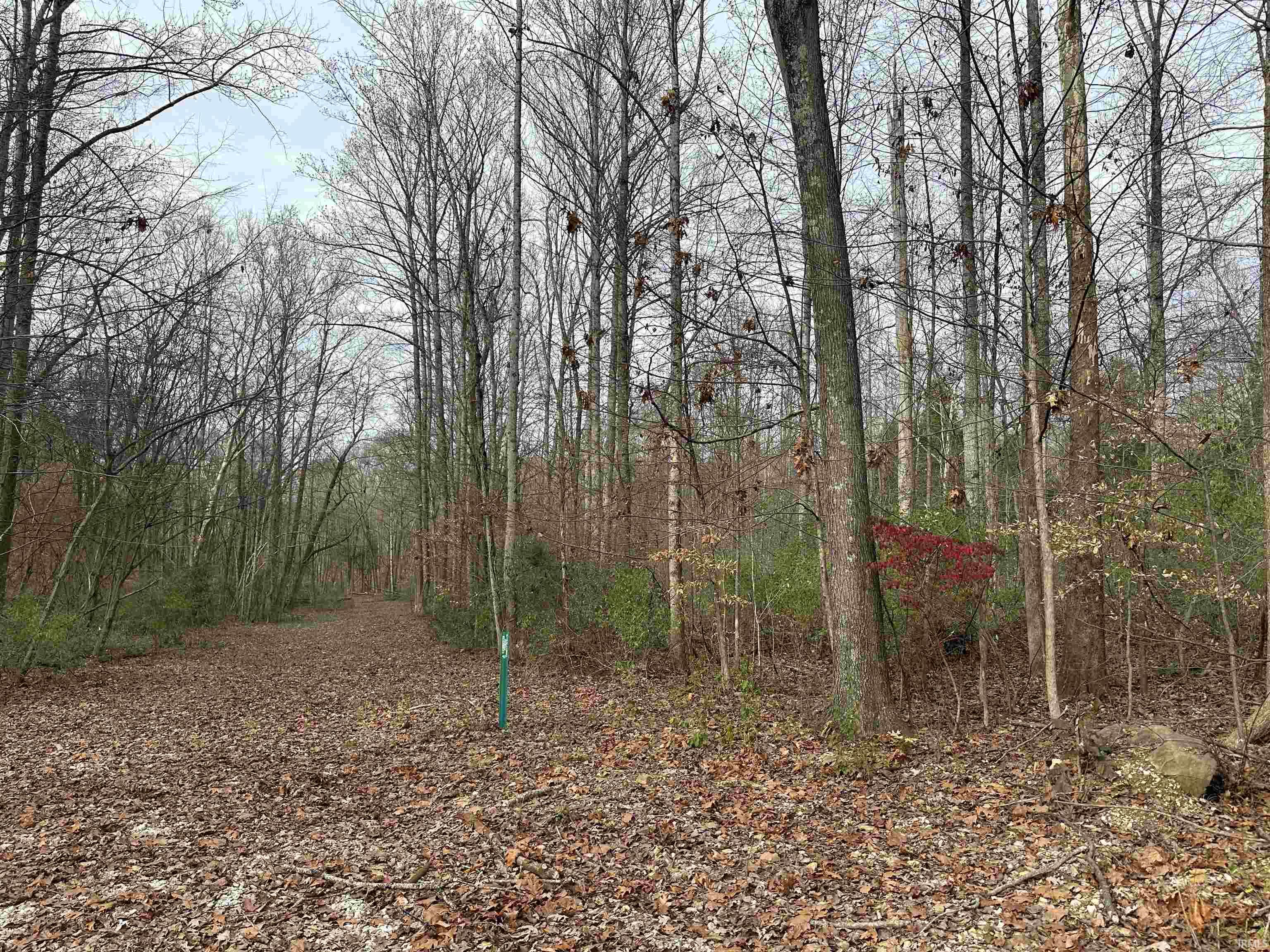 2905 Dillard Road Birdseye, IN 47513 - Photo 25 of 26